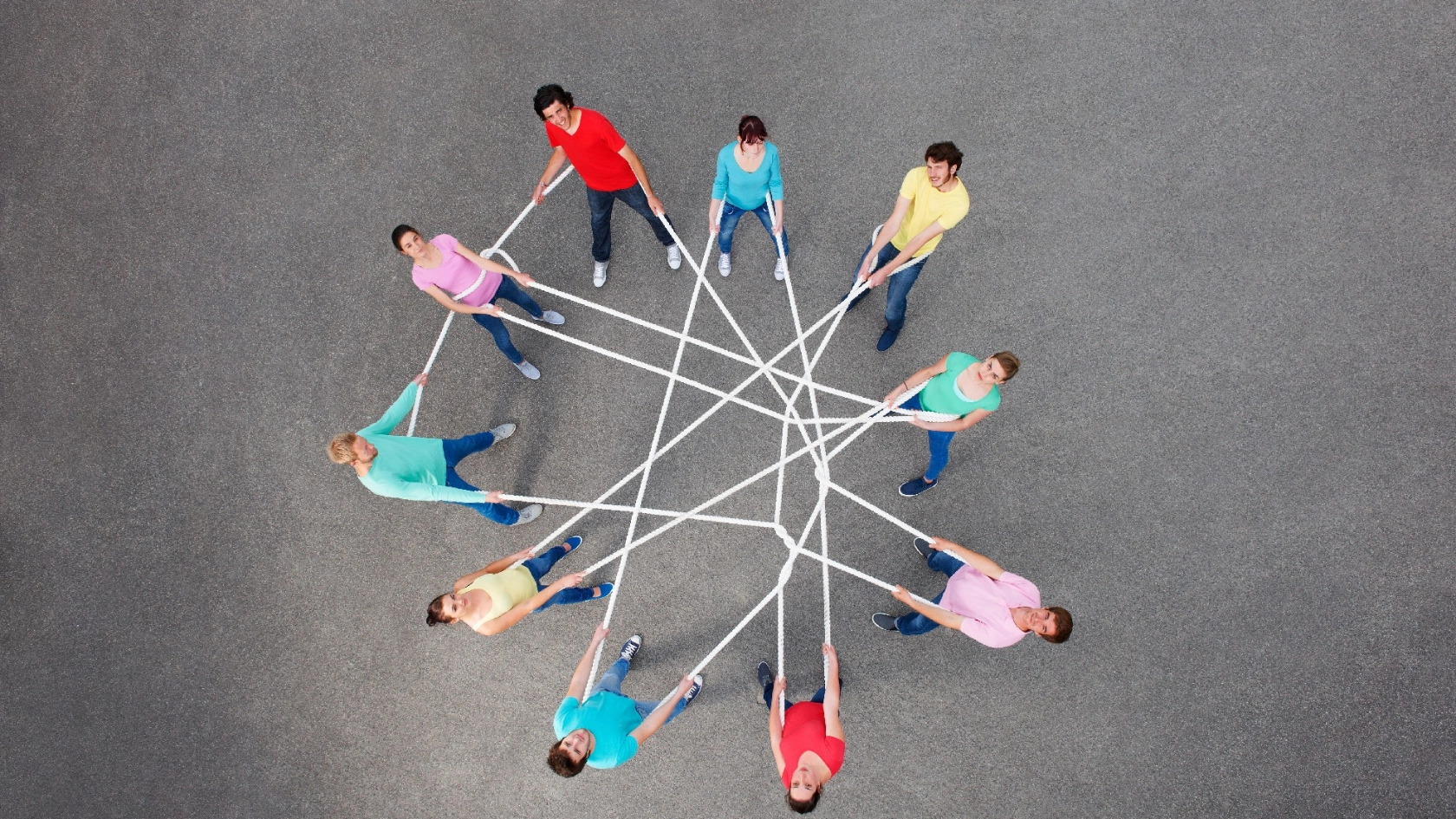 Bildung Netz Team